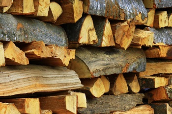 dry firewood
